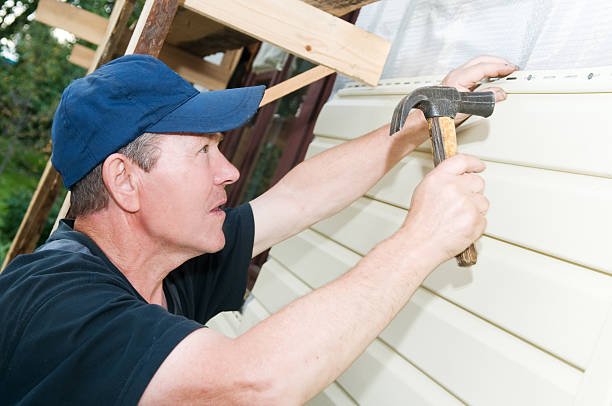 Best Insulated Siding Installation  in Thorntown, IN