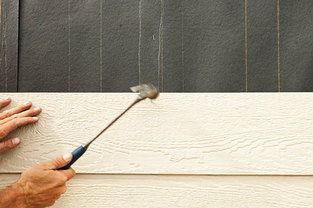Best Fascia and Soffit Installation  in Thorntown, IN